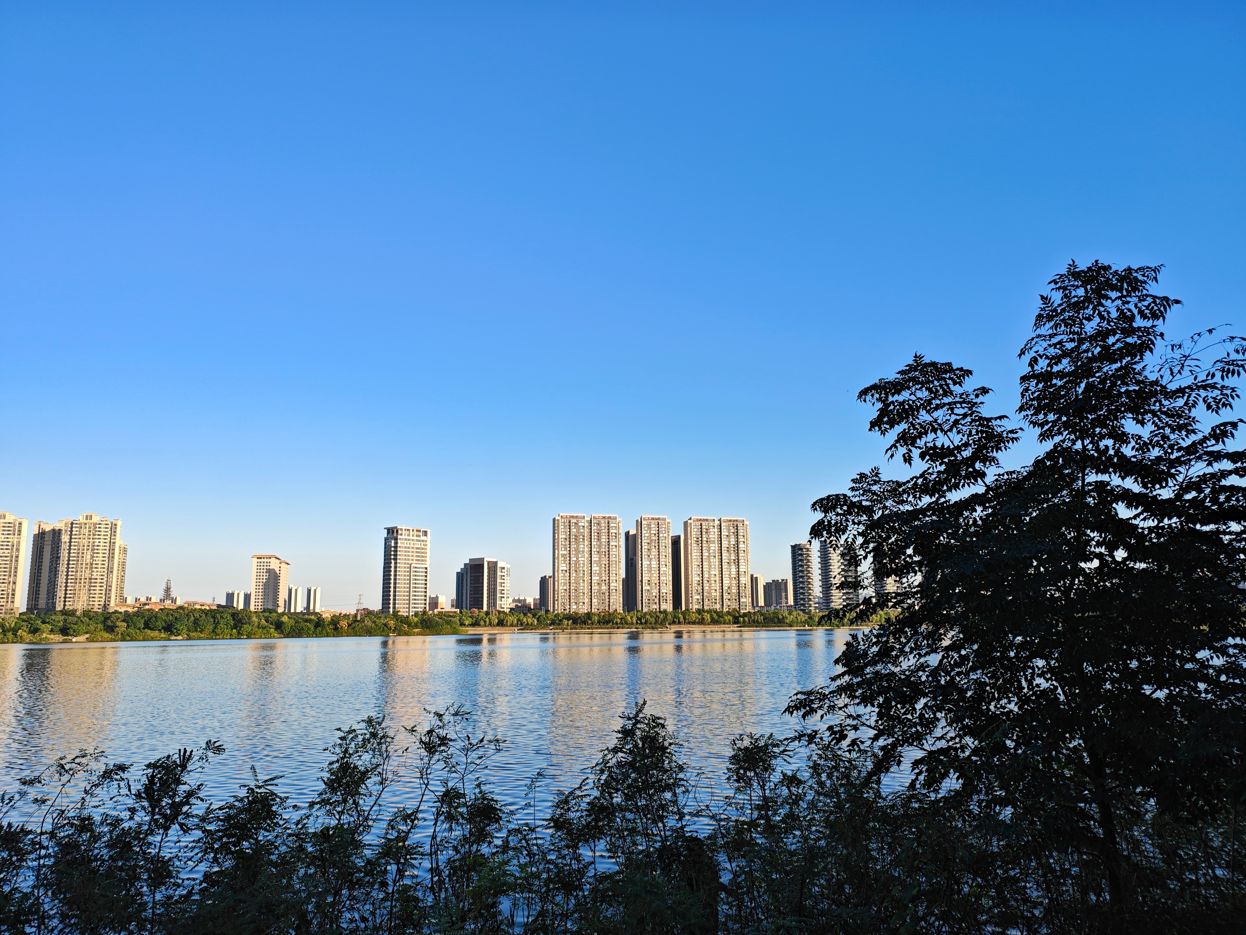 我家大概在21世纪初，搬到河边的小区当时我还在读中学，记得清楚河对面还是大片的树