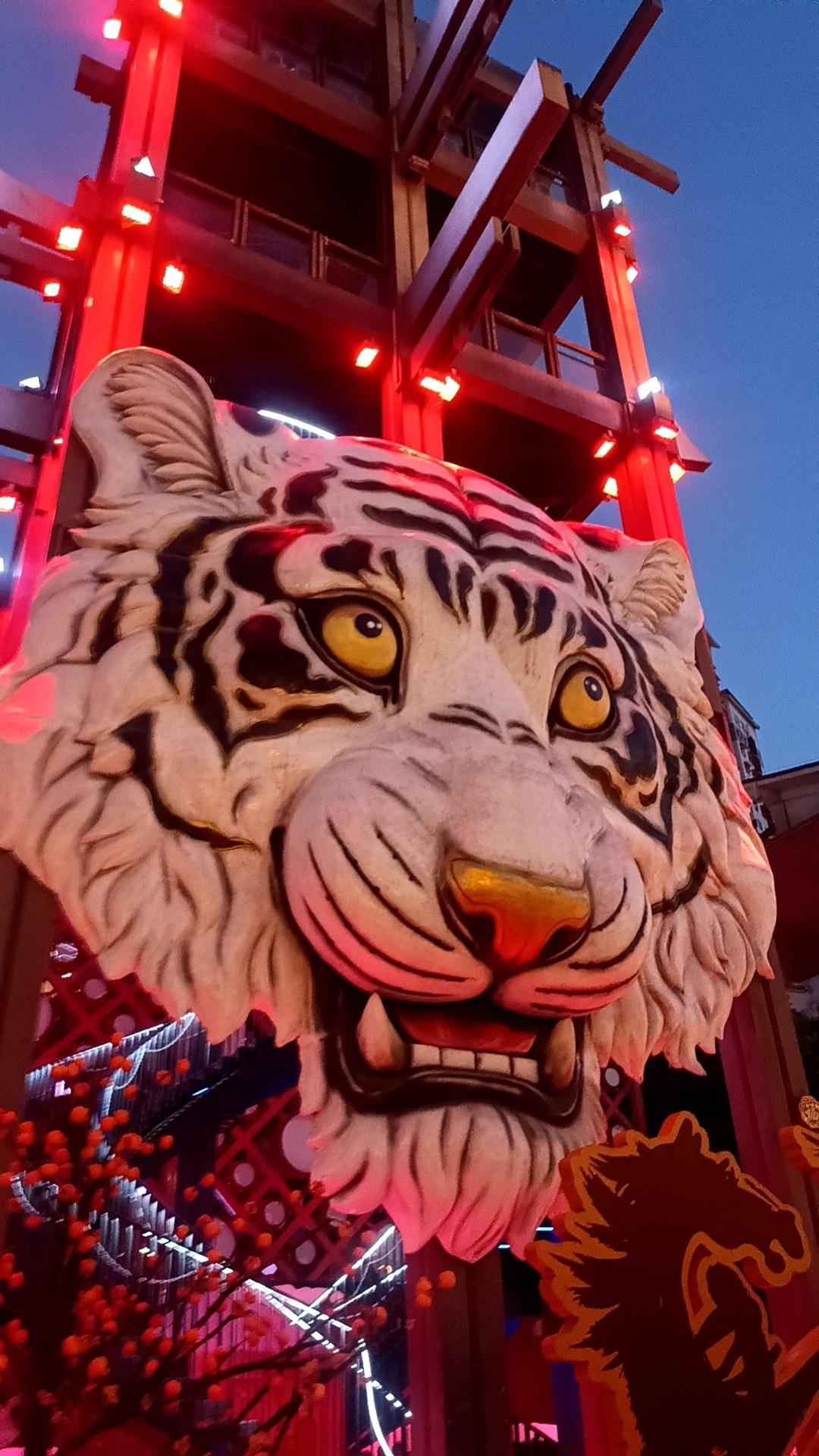 时隔半年又来到宣恩，这个恩施最浪漫的小县城依然处处透露热情，欢迎我们这些远道而来