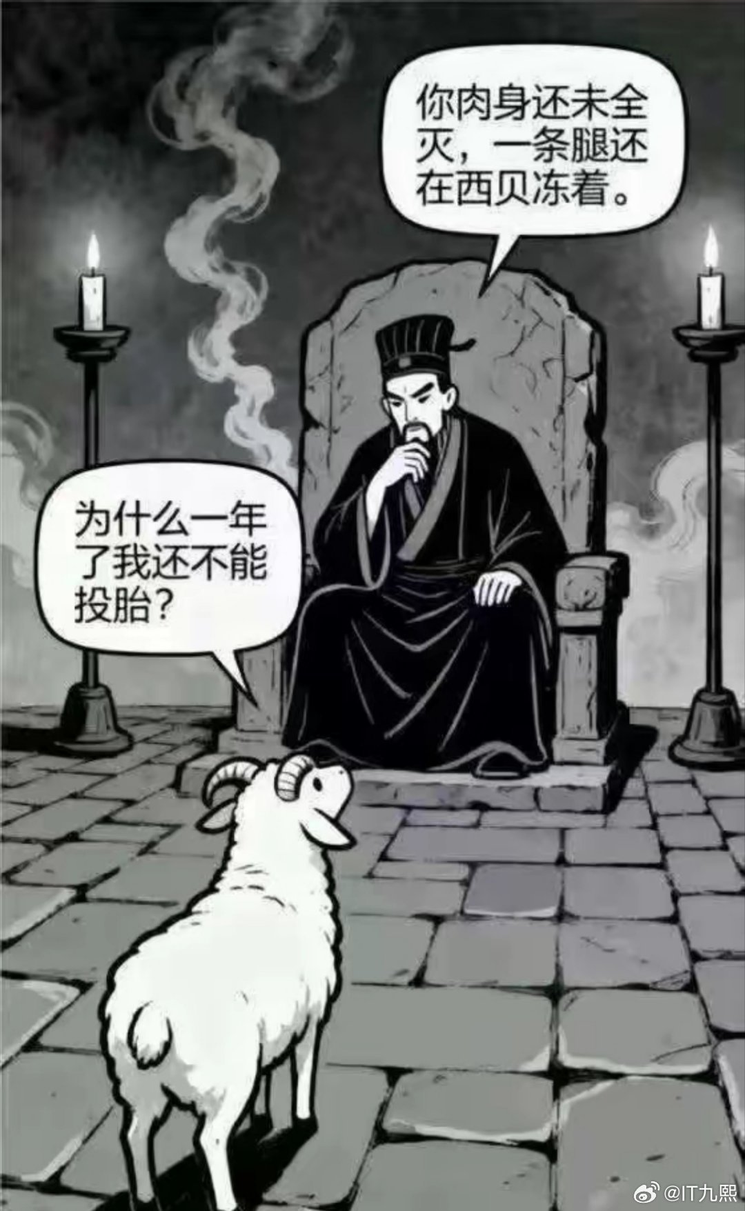 这届网友是真有段子[笑cry] ​​​