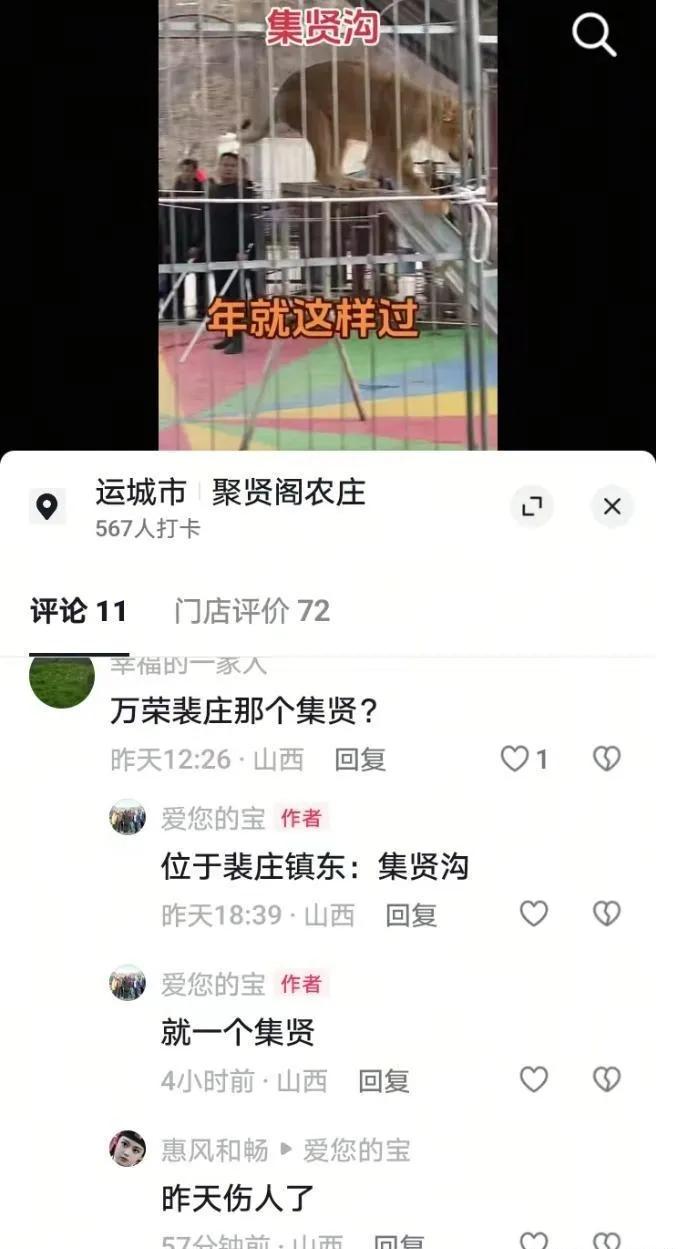 山西：马戏团表演出意外，狮子突然发起了攻击
昨天，山西省万荣县裴庄乡集贤村的集贤