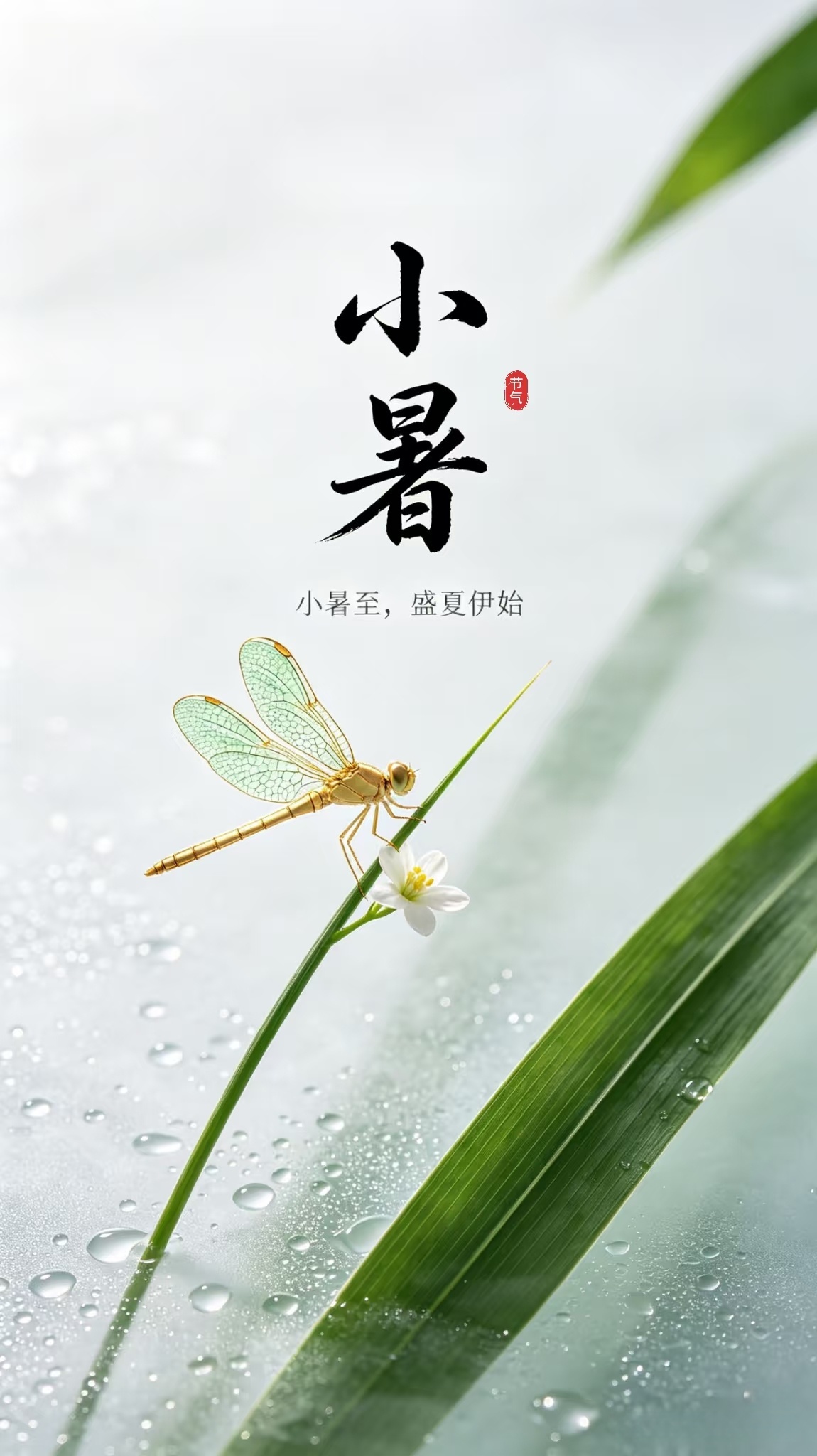 每日一善‎每日一善 小暑已至，炎夏登场，这是夏天的第五个节气，温风初起，出梅入伏