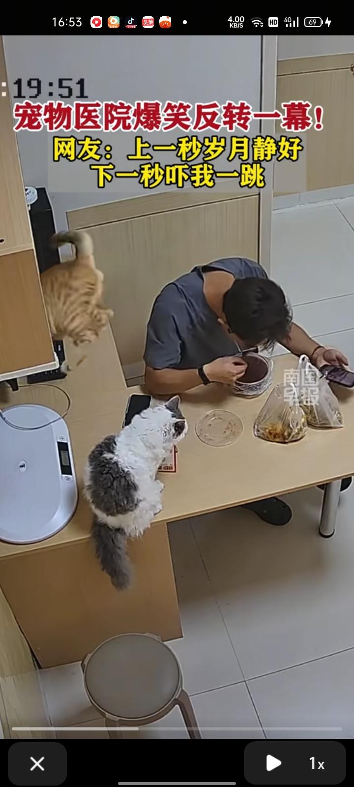 9月23日，广东潮州。监控画面显示，兽医休息时准备吃饭，突然，一只橘猫从柜子上掉
