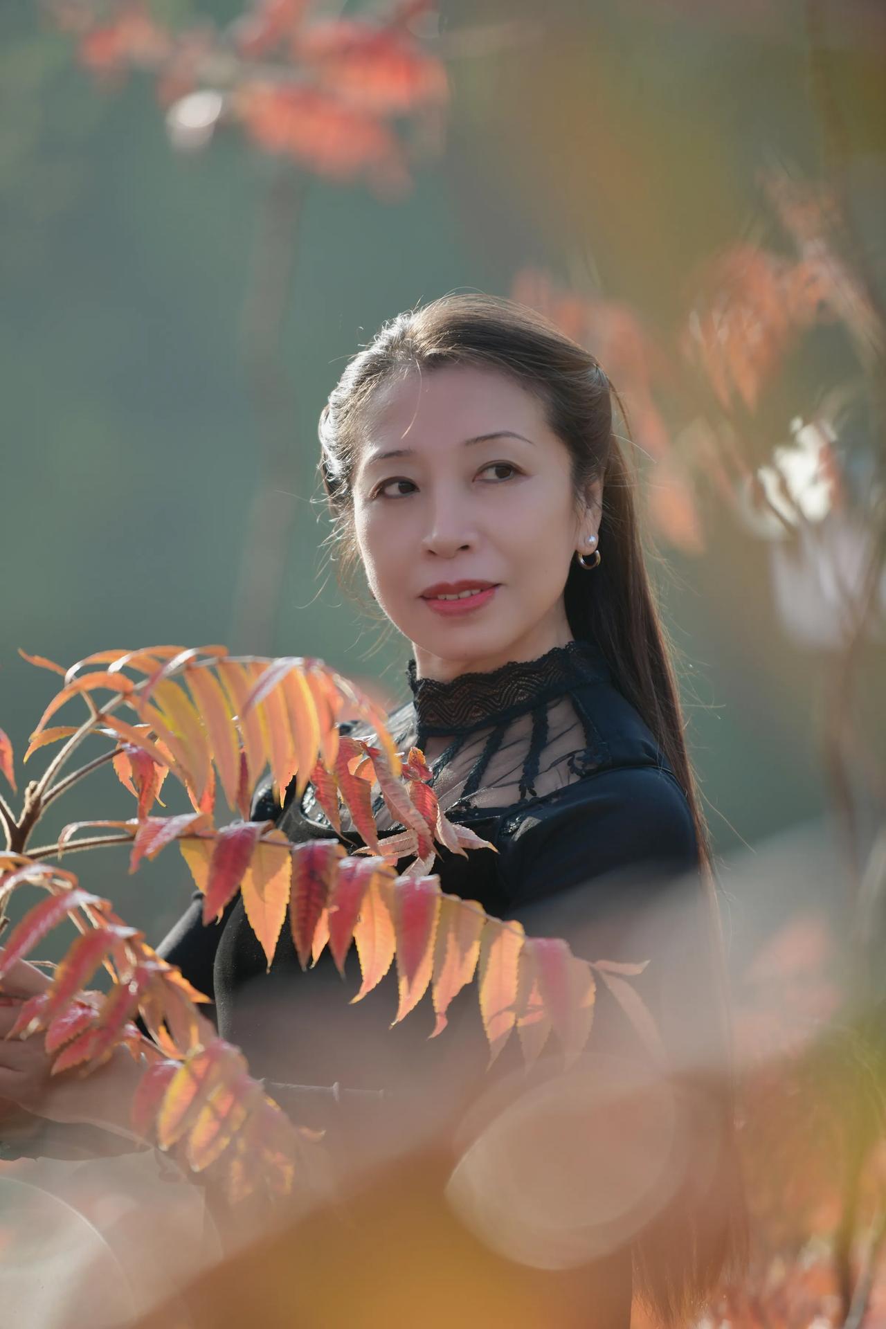 秋冬季节，阳光明媚，枫叶红了，拍摄于赵苑公园！#公园里的深秋# #初冬的公园美景