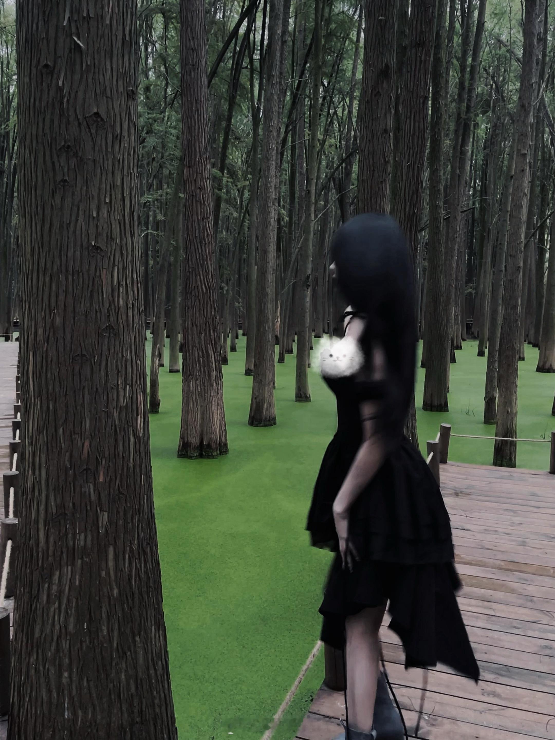 十一月 你好演员陈诗诗[超话] ​​​