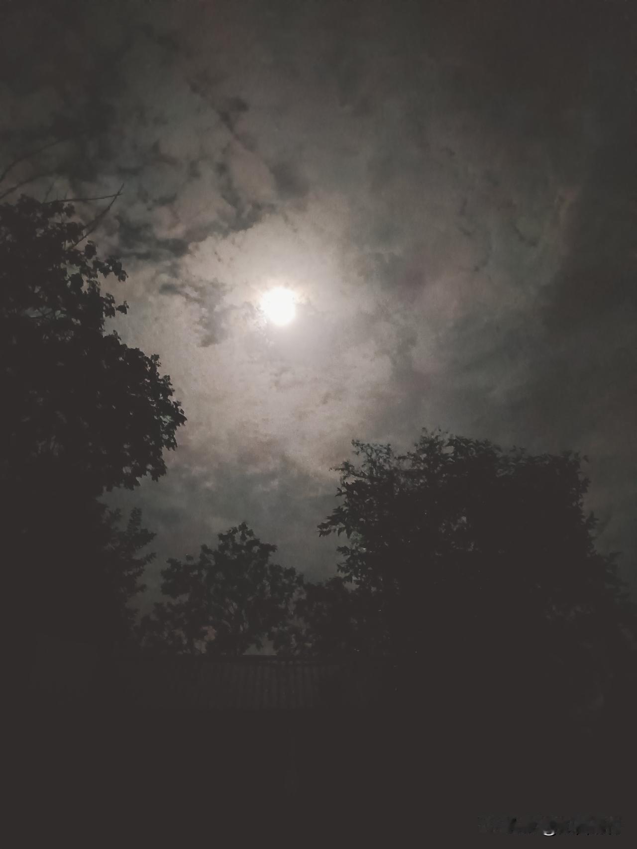 今晚中元节，我特意熬到临近午夜，蹲在院子里观察天象，没发现任何异常，挺好的，别听