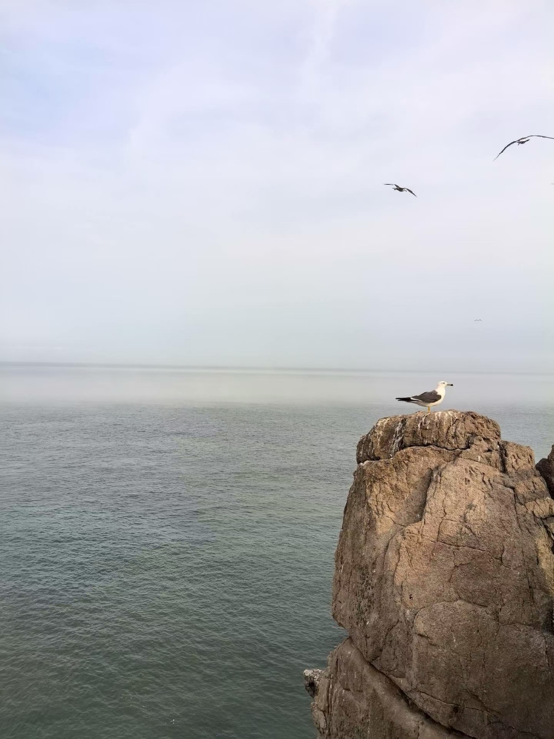 此情此景让我想到了曹老板的东临碣石以观沧海一代枭雄竟有如此心性，佩服佩服