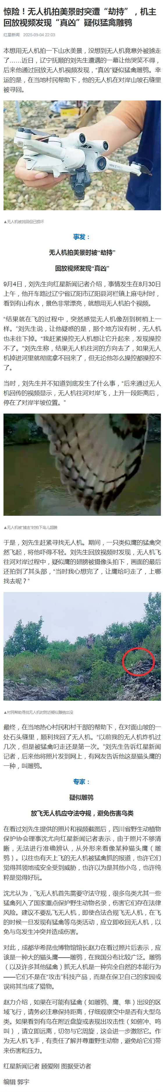 #无人机航拍被鹰叼走#【惊险！无人机拍美景时突遭“劫持”，机主回放视频发现“真凶