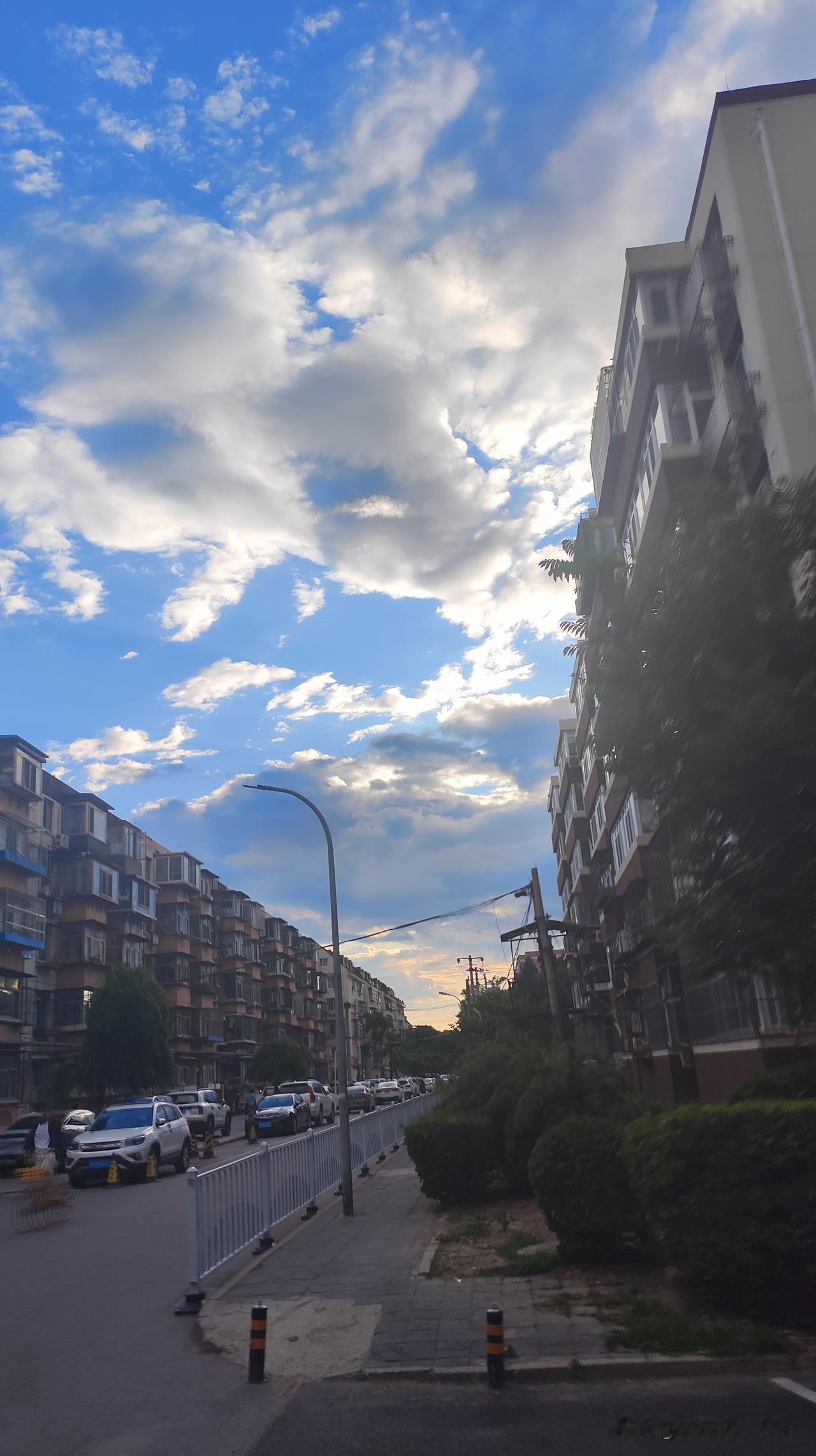 一张图证明夏天来了风渐渐温热，盛夏如约而来。阳光穿过枝叶，在地面投下斑驳光影。池