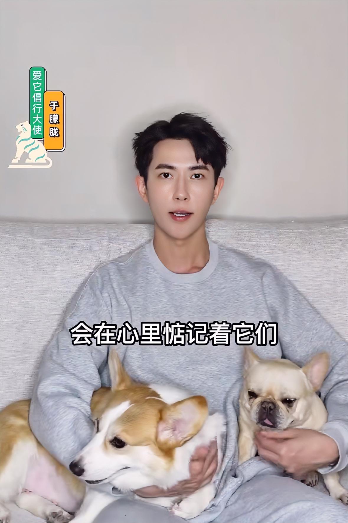 于朦胧坠楼离世，
放心不下的竟是两只狗狗


于朦胧走了，
最放心不下的除了父母
