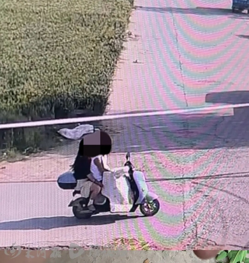 百万粉丝网红边牧疑被偷走宰杀，主人气得浑身发抖：一对男女强制把狗带上车藏在挡风被