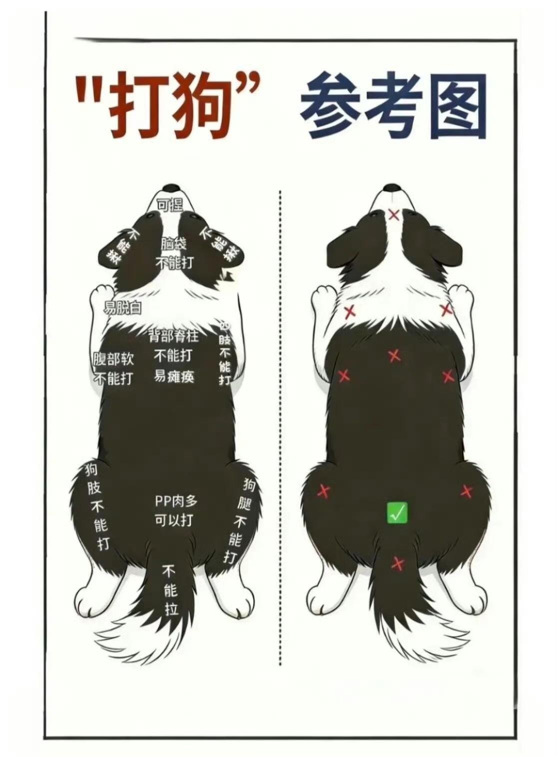 一句话总结就是：除了腚，都不能打…… ​​​