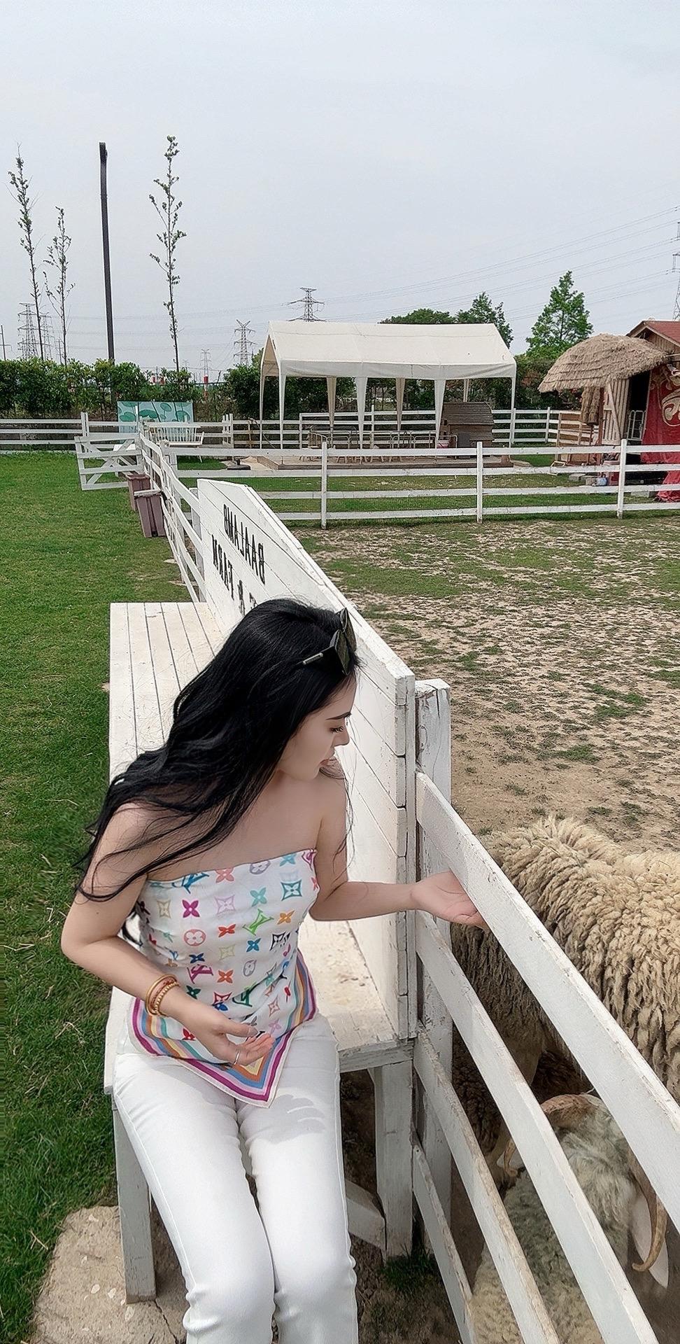 大自然与小羊驼🦙