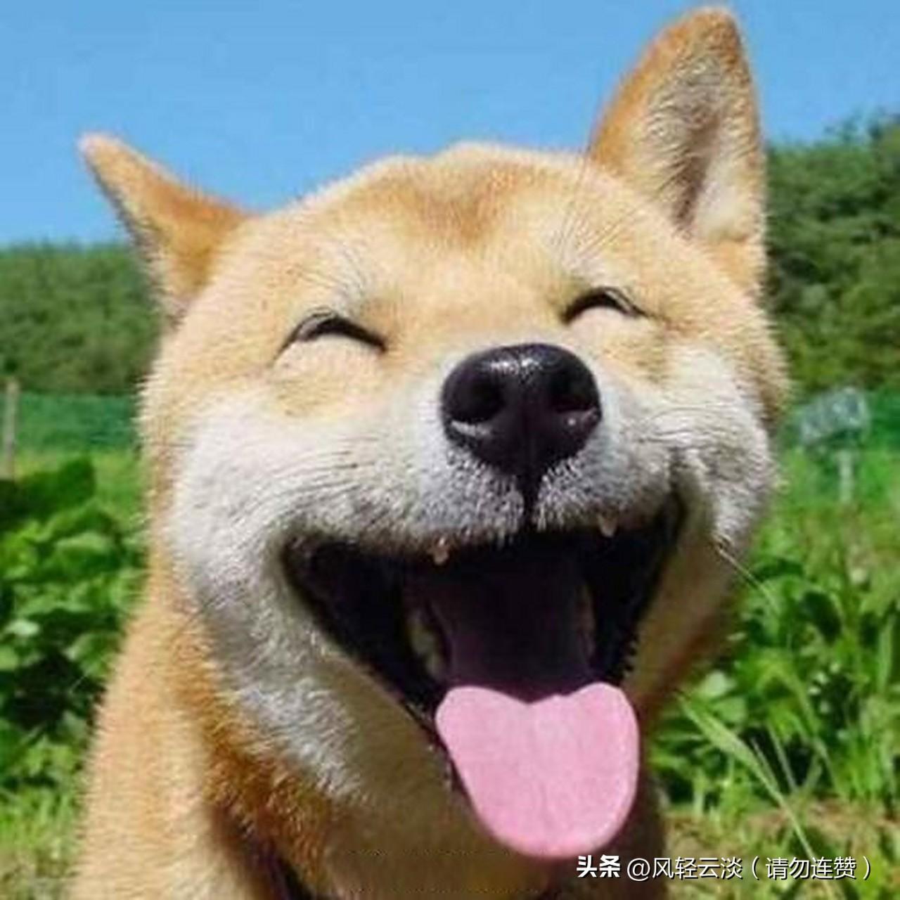 必须笑！太极队里好几位何姓师兄师弟，按岁数叫大何二何小何。我嘴一瓢，把幽默担当二