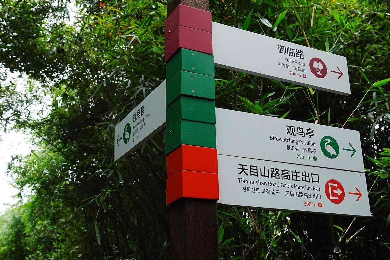 【西溪湿地，藏着拍鸟老法师的专属“据点”！】杭州西溪国家湿地公园观鸟区，常年吸引