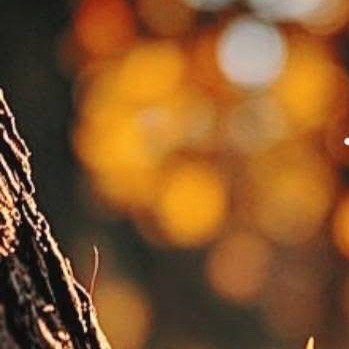 早安☀️，美好的一天开始❤️。歧视别人，就等于在歧视自己的生命。伤害别人，也会伤