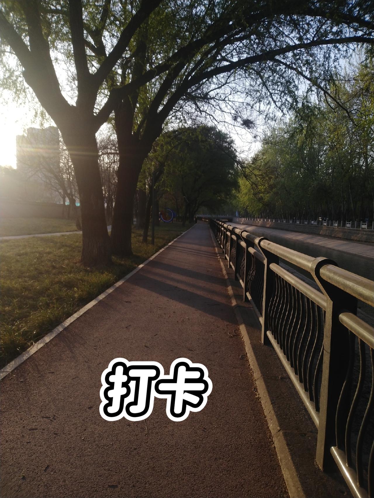 新年爱好打卡这活动超棒，能让咱在新一年坚持爱好。我选了绘画和跑步。绘画属于艺术类