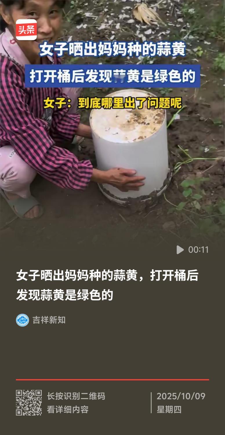 女子晒妈妈种的绿色蒜黄，这画面还挺新奇。一般蒜黄是黄色的，绿色的蒜黄估计是见了光