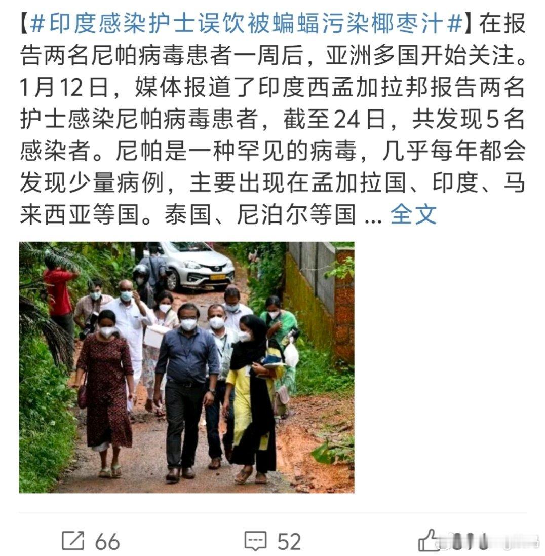 印度感染护士误饮被蝙蝠污染椰枣汁这个地方给我一种极其不卫生的感觉真害怕了 