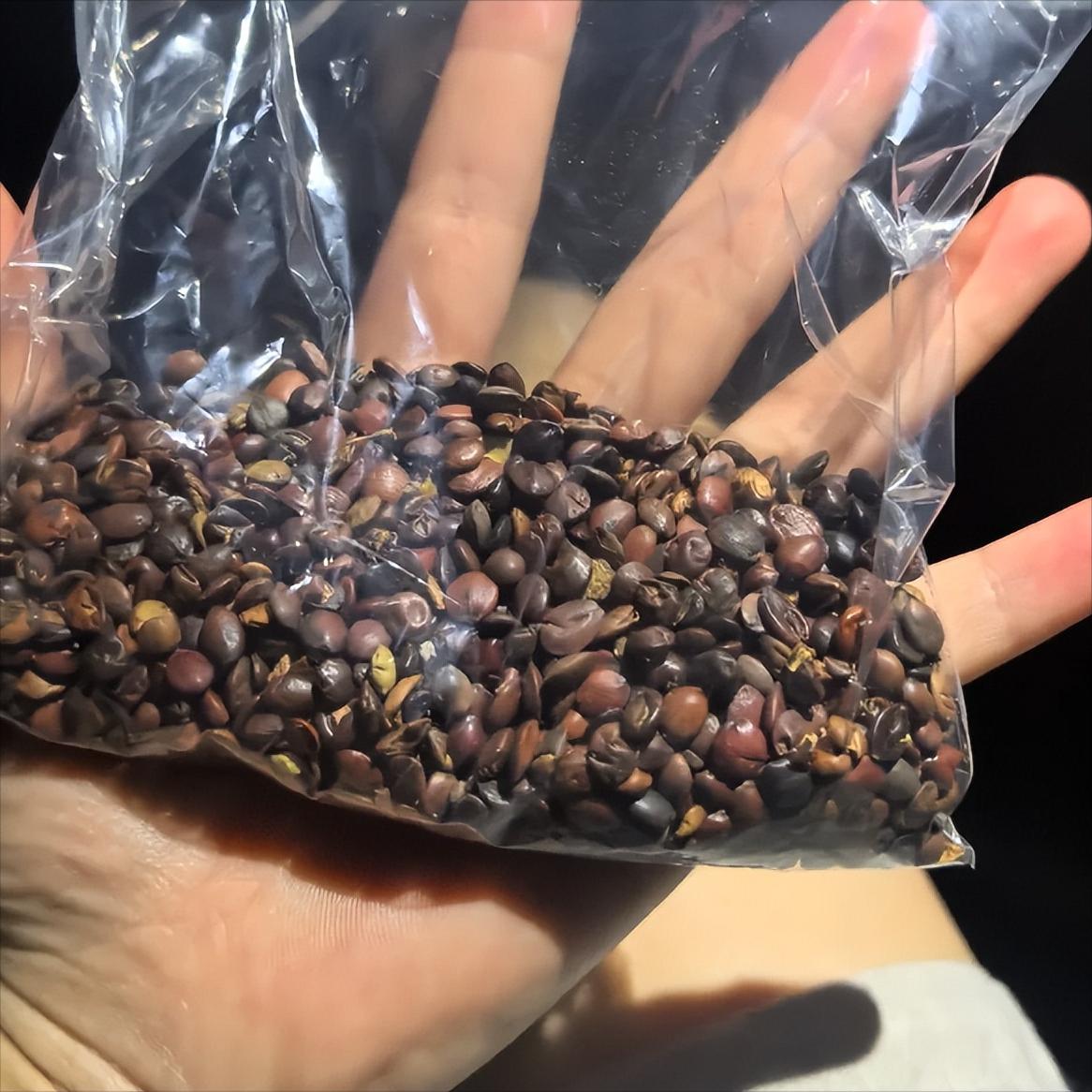 三个方让你持久不泄，战斗力持久力拉满


想持久稳定→金锁固精丸合左归丸【滋肾固