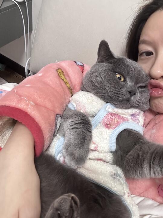 小猫咪知道亲他是喜欢他吗？
