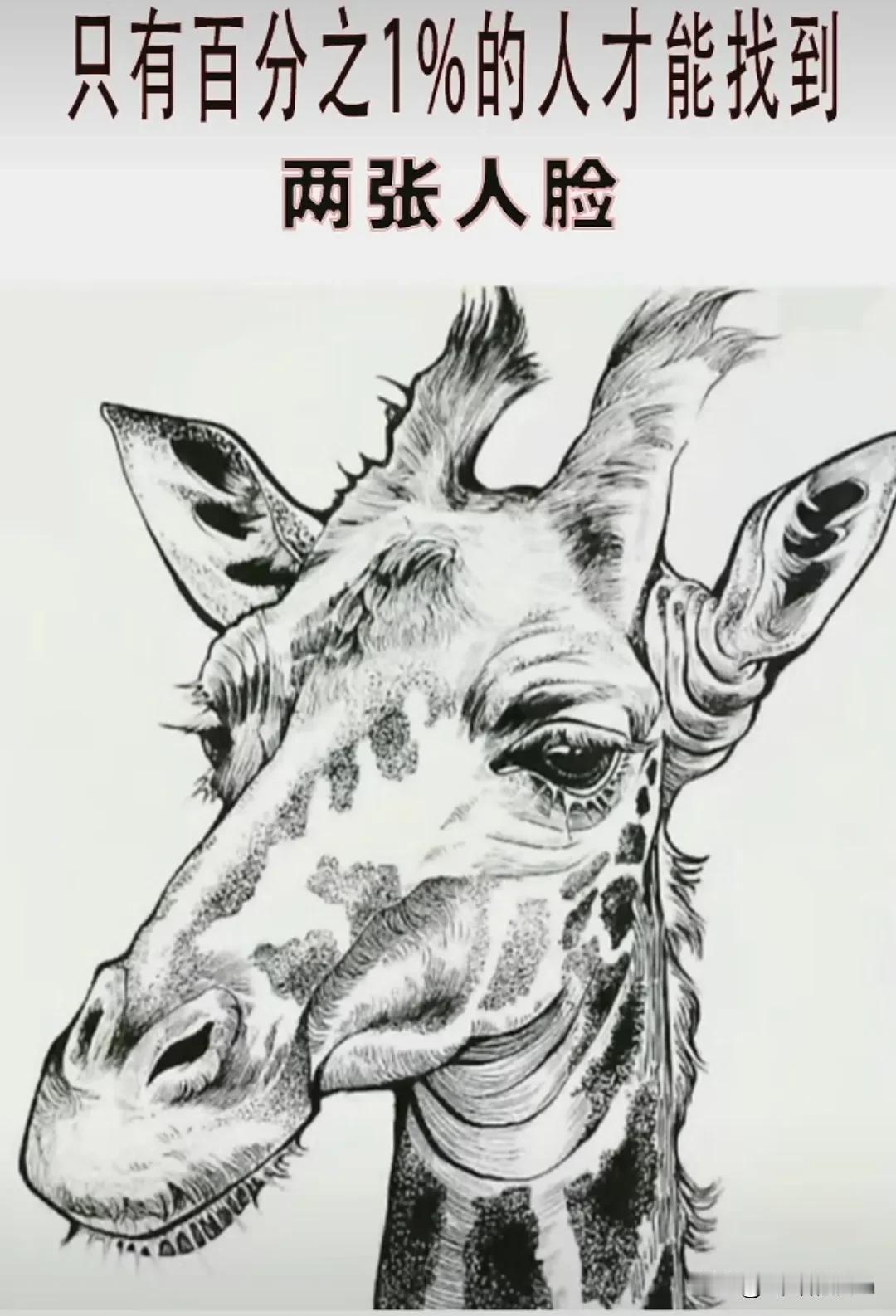 还有一张人脸没有找到，难度系数百分之八十，认真看放大看也许能找到一点蛛丝马迹，你