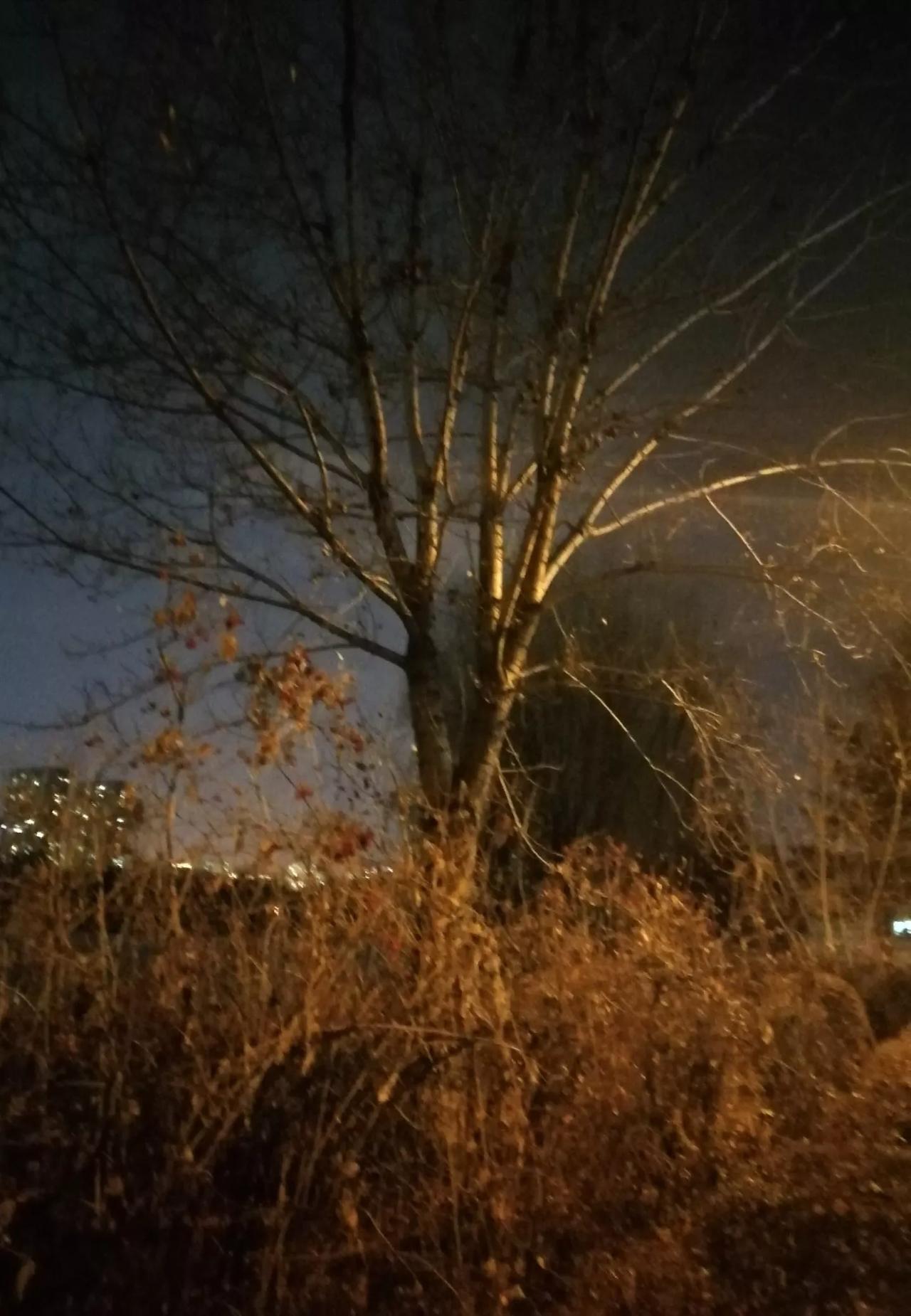有人拍过夜景照片吗拿出来晒一晒看看我拍的夜景