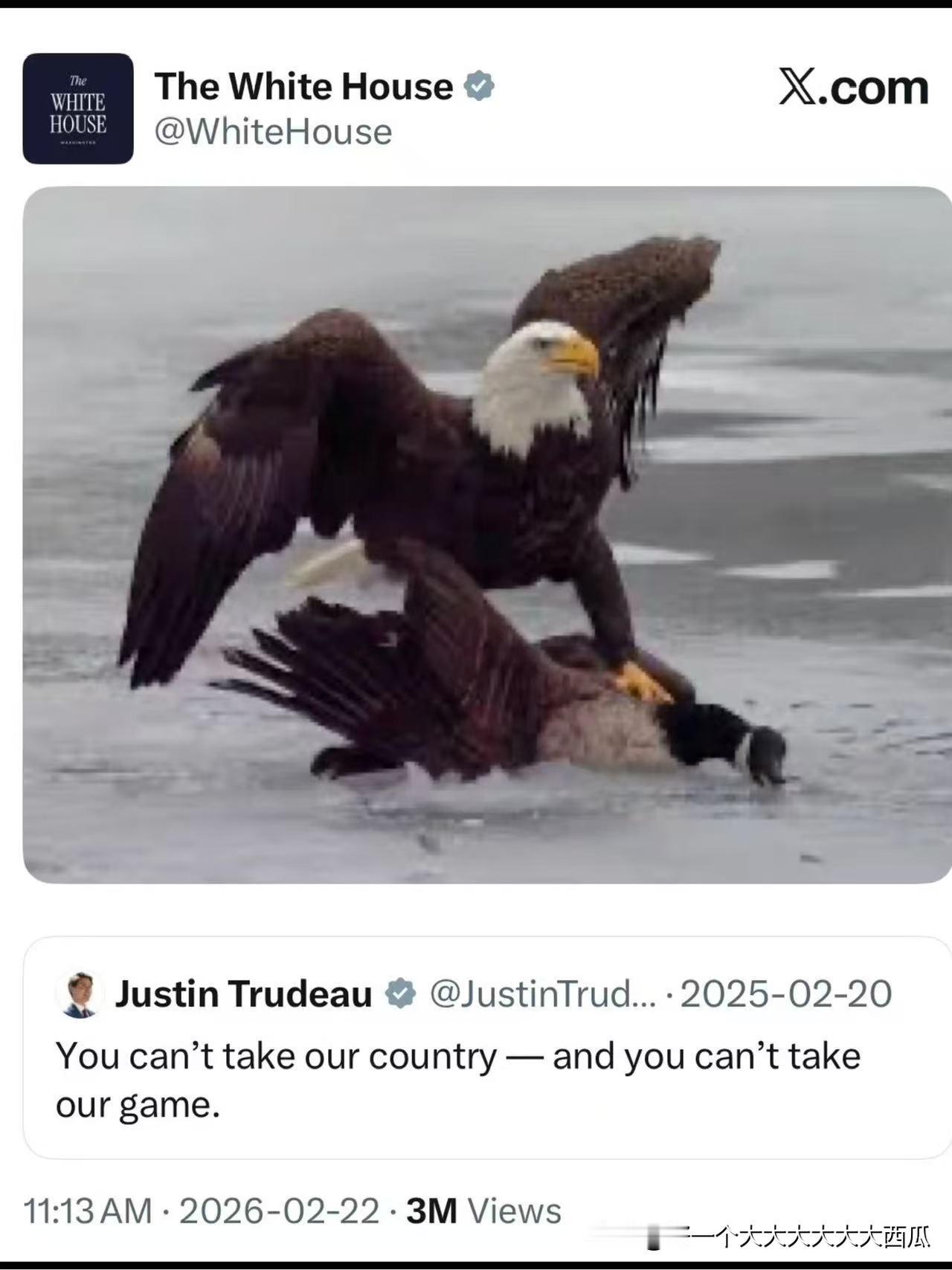 美国白宫推特太有特朗普的风格了，
在本次冬奥会上美国男子冰球队战胜加拿大夺得冬奥