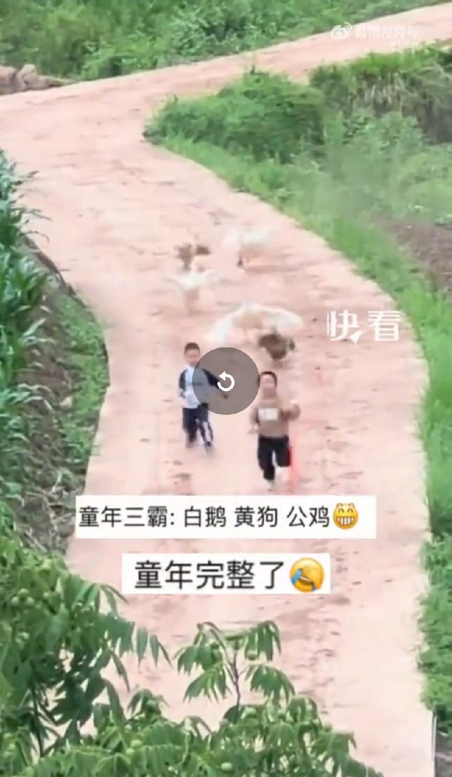 这小哥俩火到全球网和新华社了~

起因是一对小哥俩受母亲的委派，去给爷爷奶奶送粽