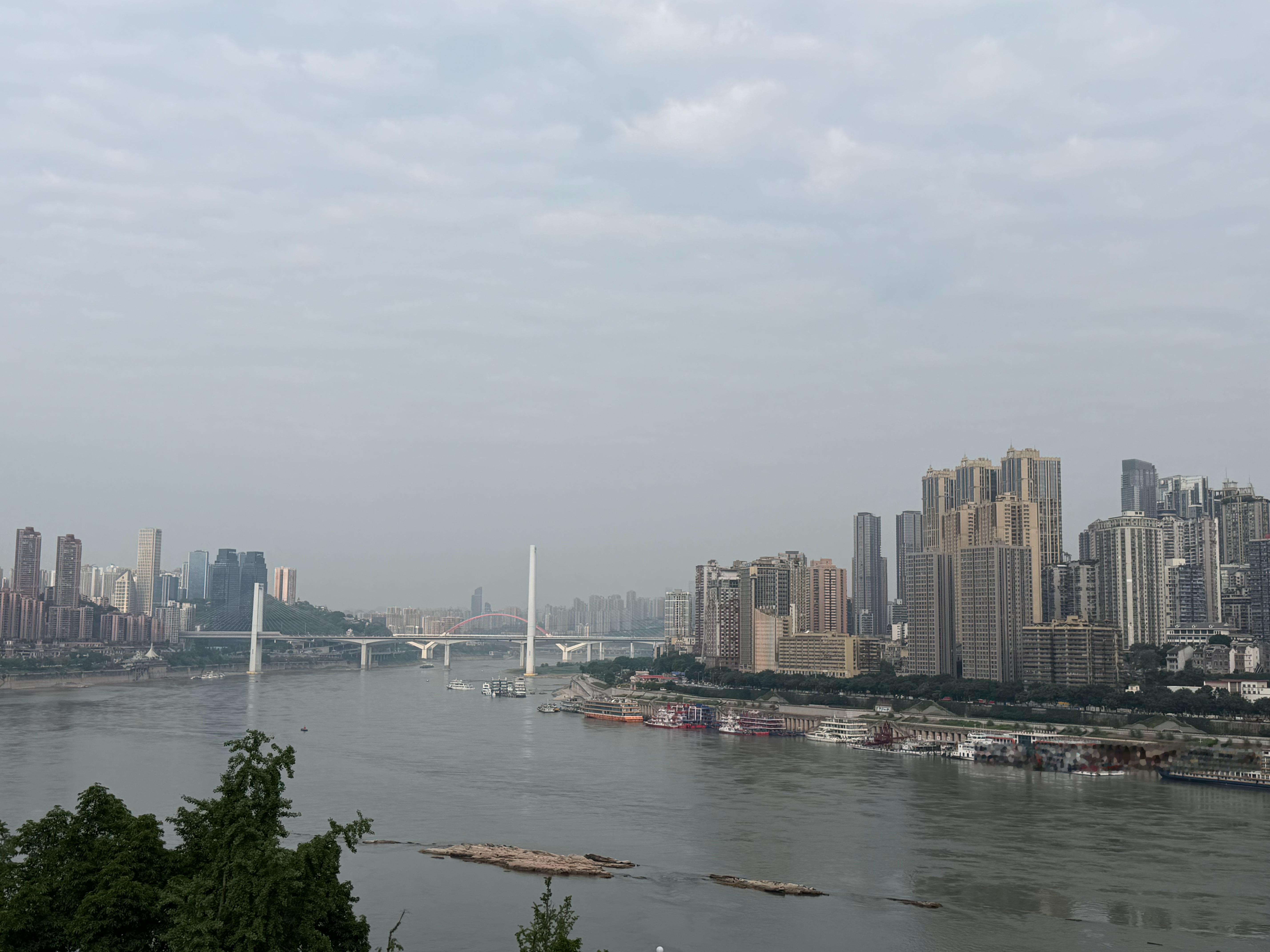 每日一善 人心最难得的是长久良善，每日一善，是自我修行，也是与生活和解。少一点计