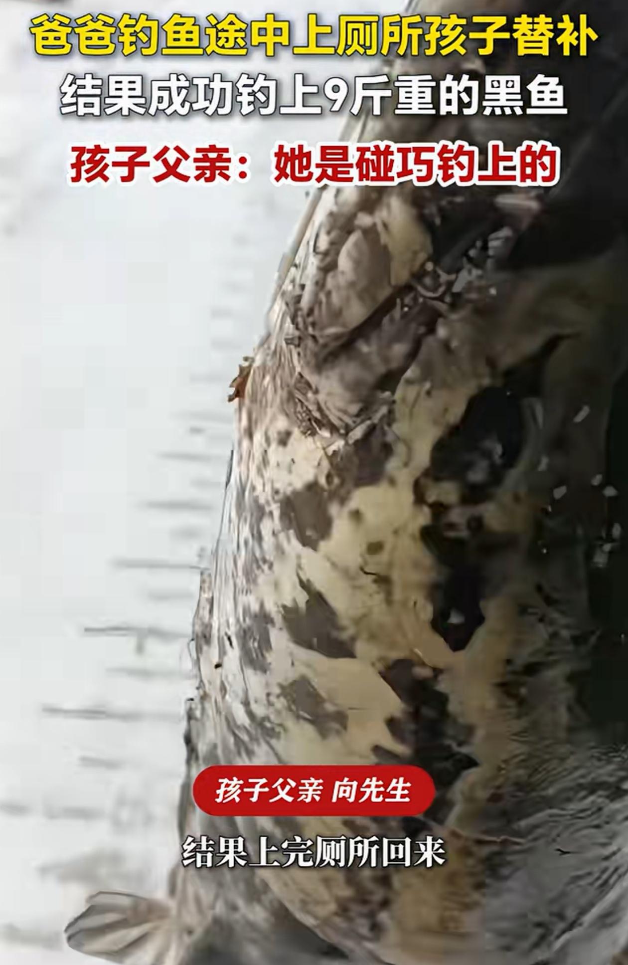 人比人气死人！四川达州，男子去河边钓鱼，半天连个影子都没见到，可就在他去上厕所的