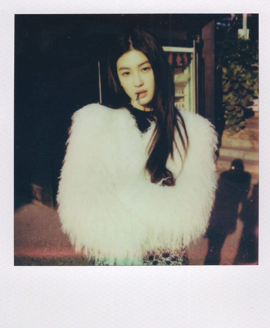 Polaroid