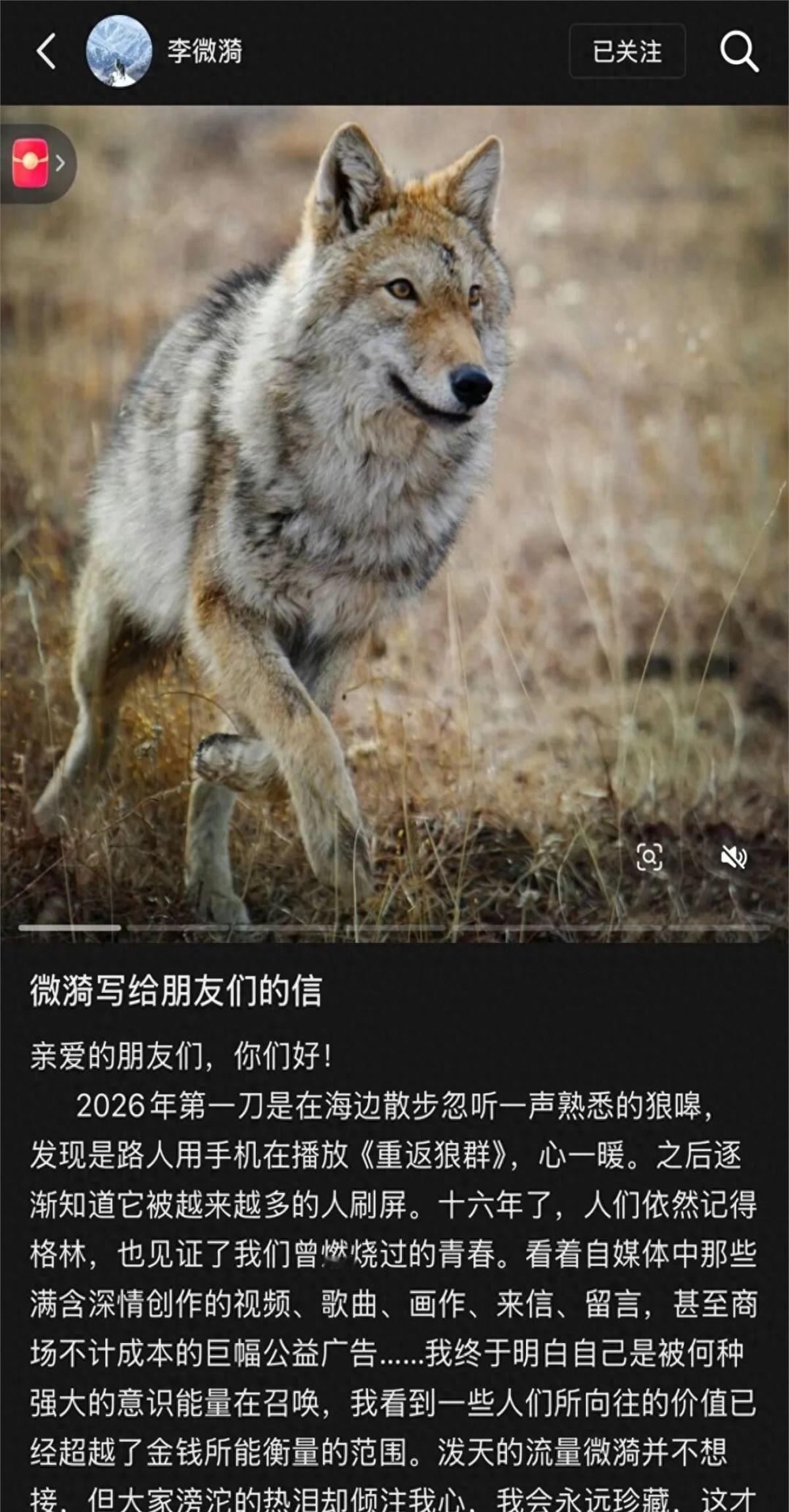 9年后，《重返·狼群》定档春节，但制片人一封信，却让所有人沉默：狼王格林，走了。