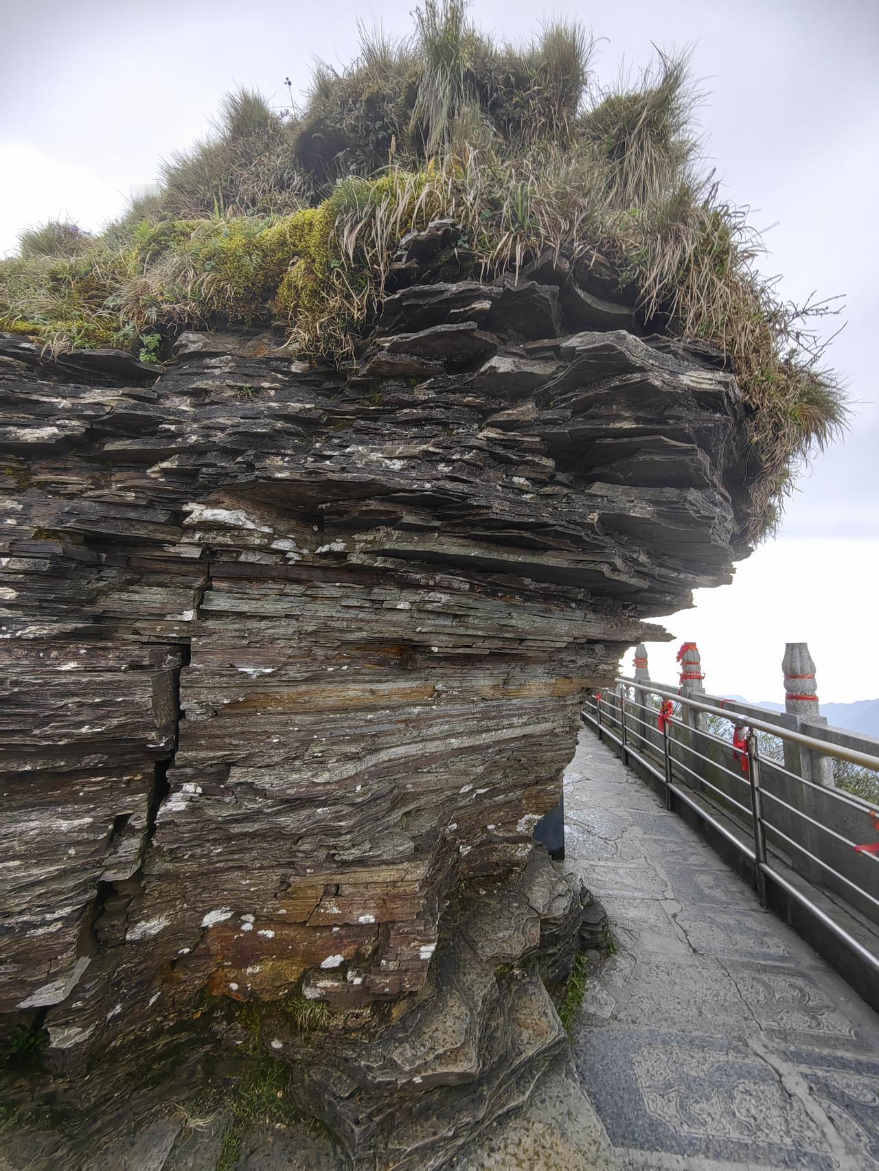 今年春天最想实现的心愿登上梵净山的红云金顶，艰难的登山之路，哪里有啥路，硬是信念