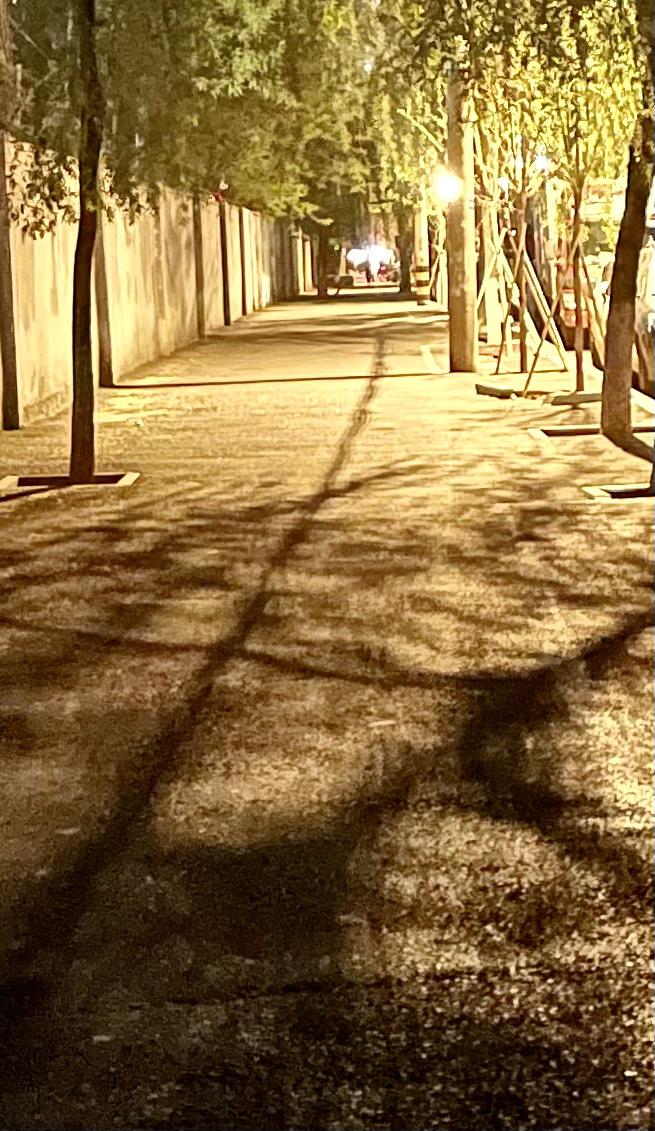 丈夫老同学又从省城来我家做客，这一次可不敢在家里吃饭了，我们选在本市最大饭店，倒