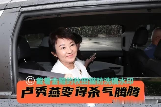 卢妈不忍了！
被绿营猛轰反而更来劲，卢秀燕高喊“2026倒阁、2028倒赖”，妈