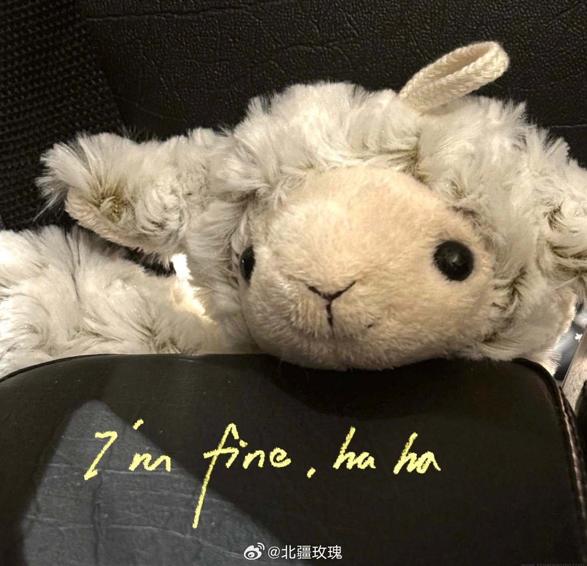 遵从本心就好。不要一直给自己过多的压力了