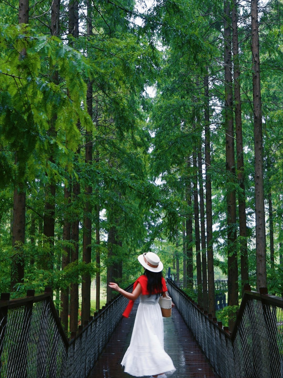 谁懂啊！盐城藏着片“绿野仙踪”🌳森系大片拍到手软！ 我在江苏周边游挖到宝了！盐