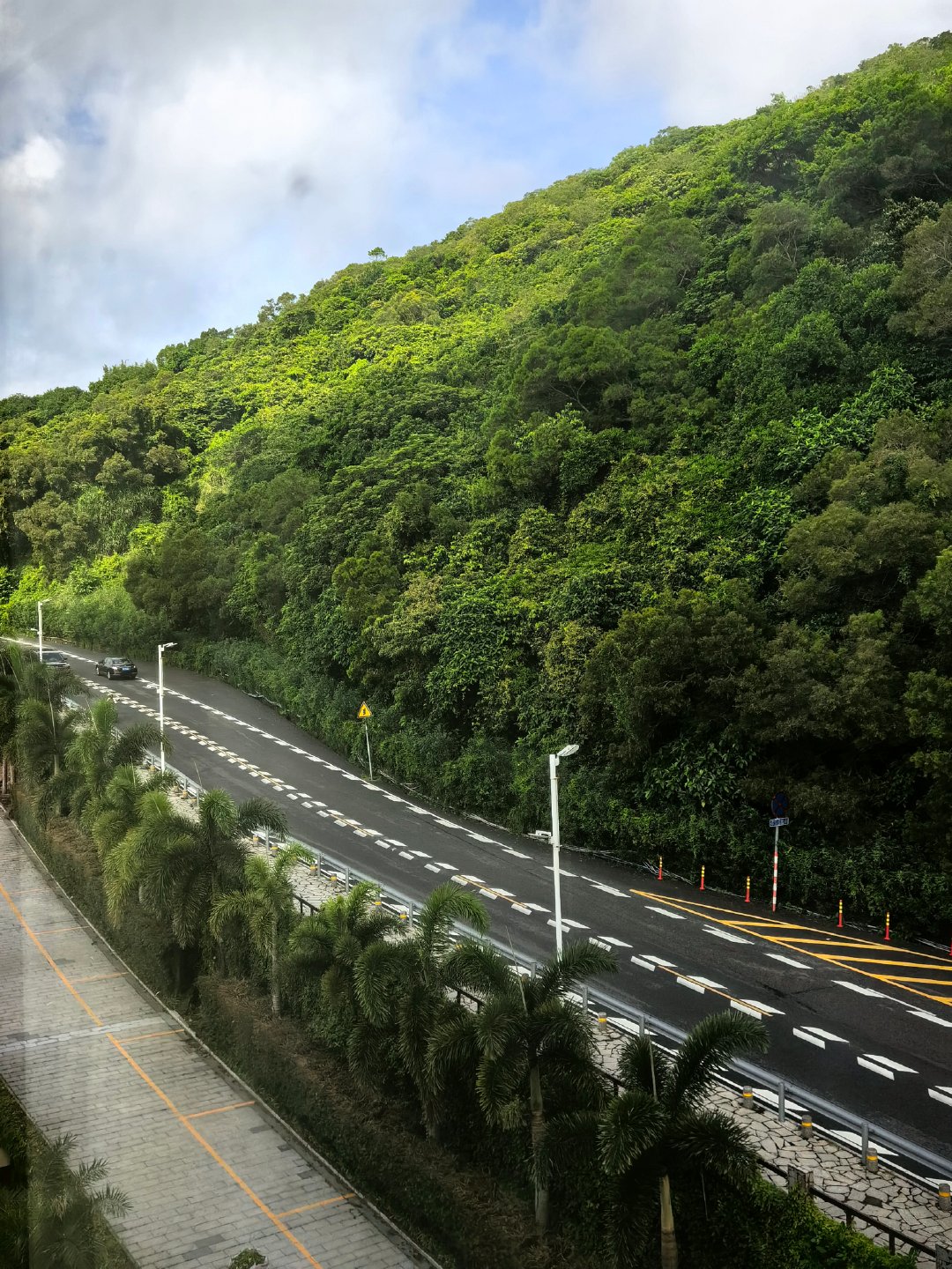 早[抱一抱]跑山 or 游泳？  ​​​