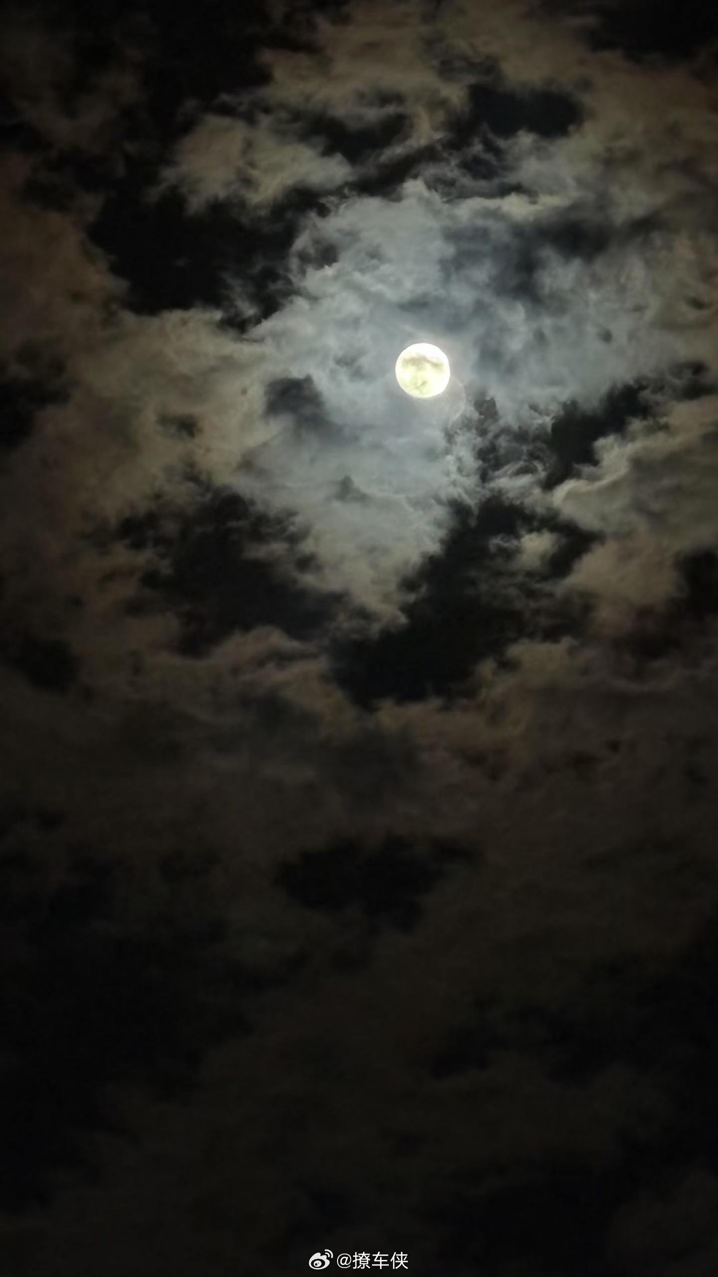 今晚的月亮真好看[吃瓜] ​​​
