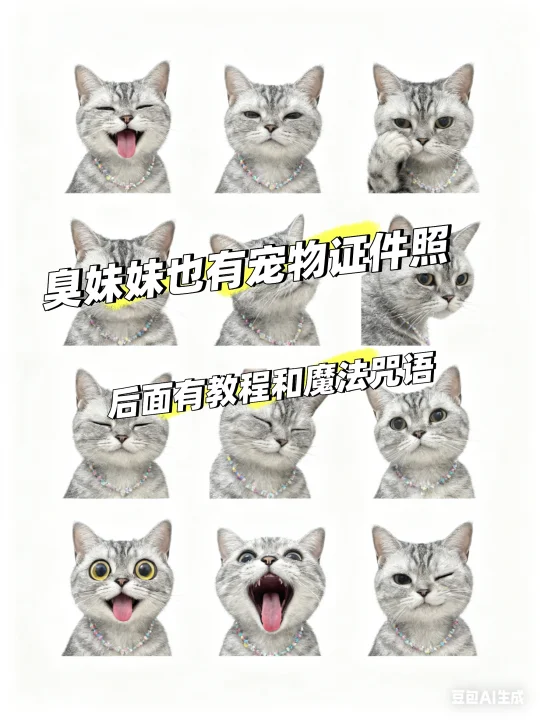 还没有小猫证件照的看过来昂（有教程）