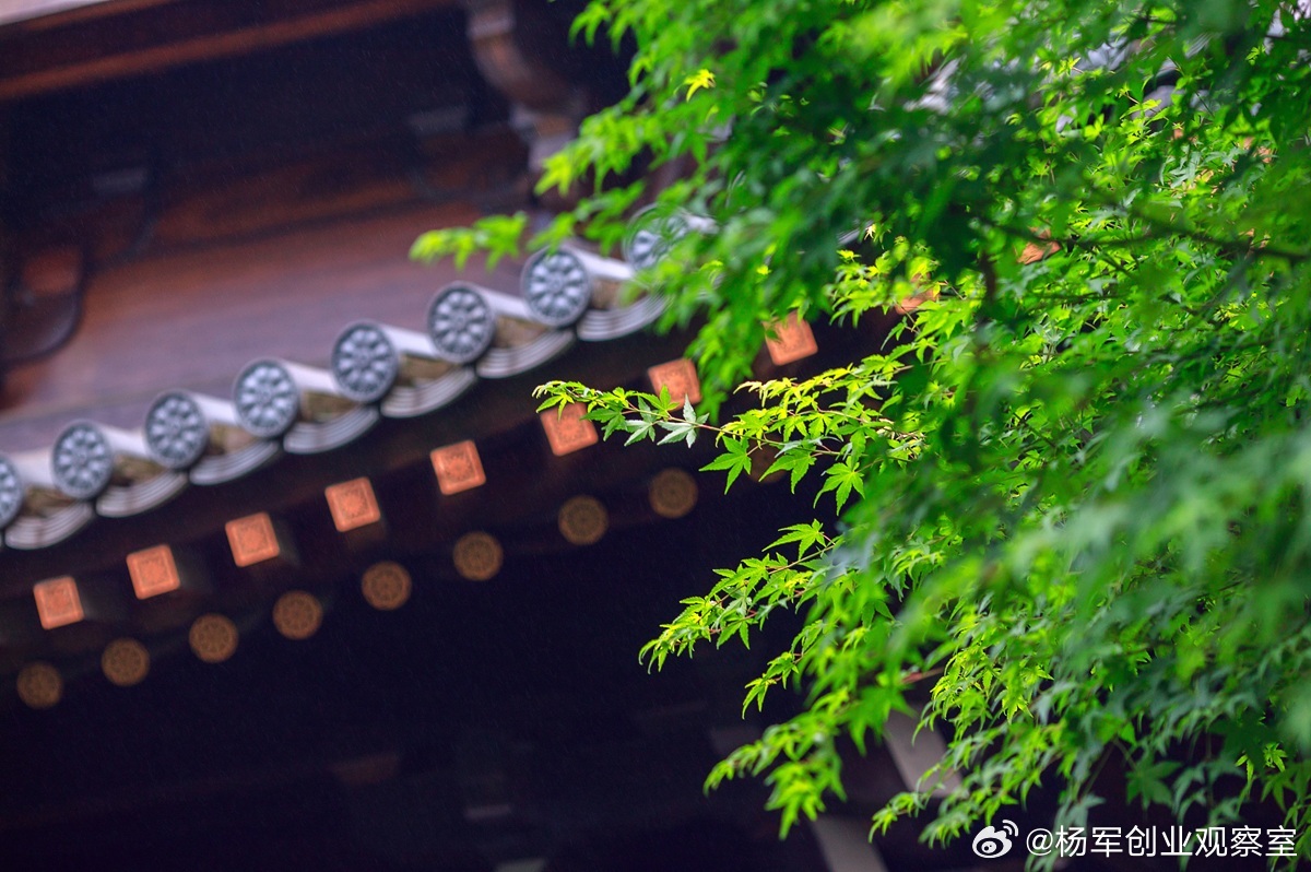 免费分股？别幻想员工会像老板一样拼命。掏钱的股权才是激励，不掏钱的只是福利。一句