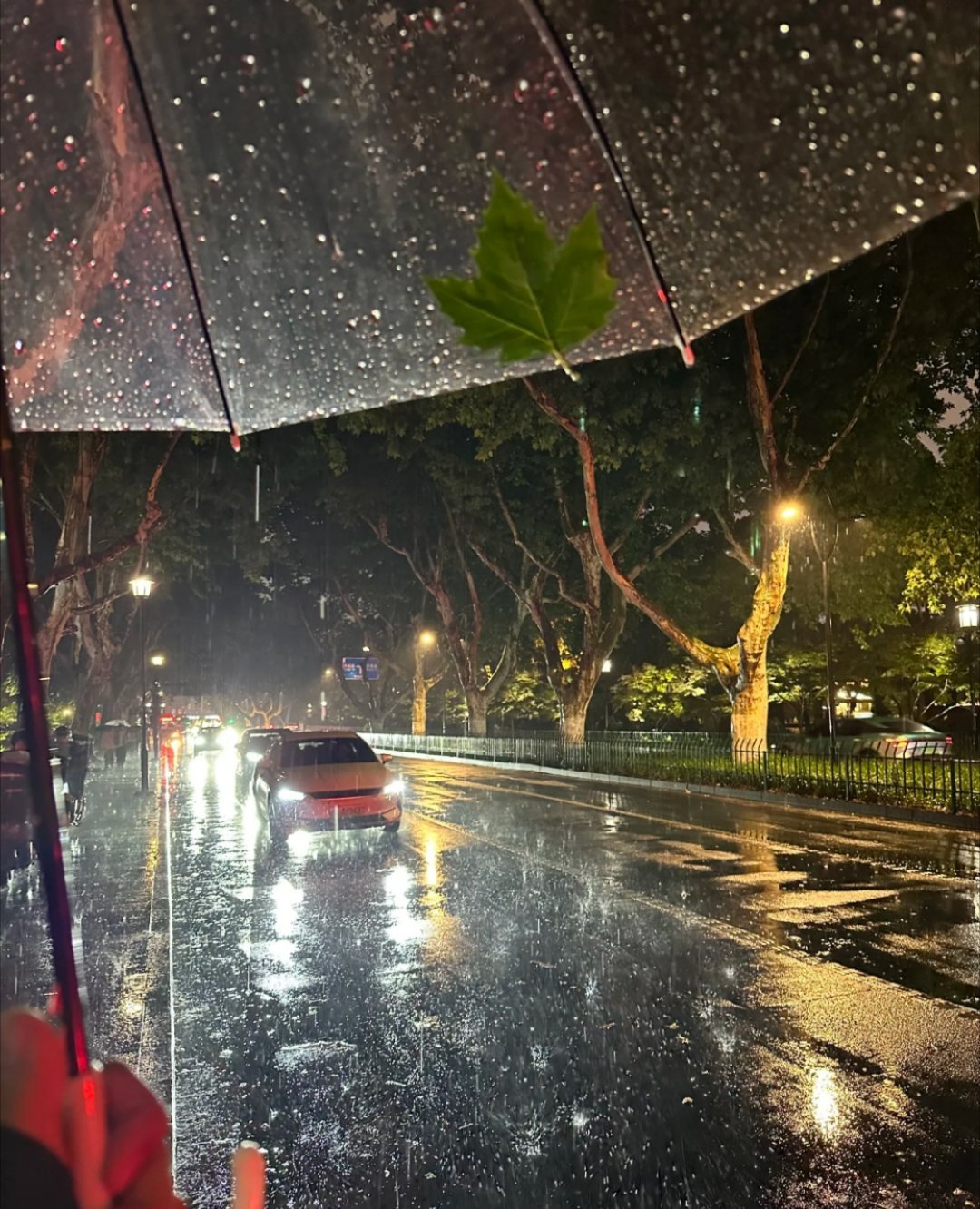 连绵的雨夜 ​​​