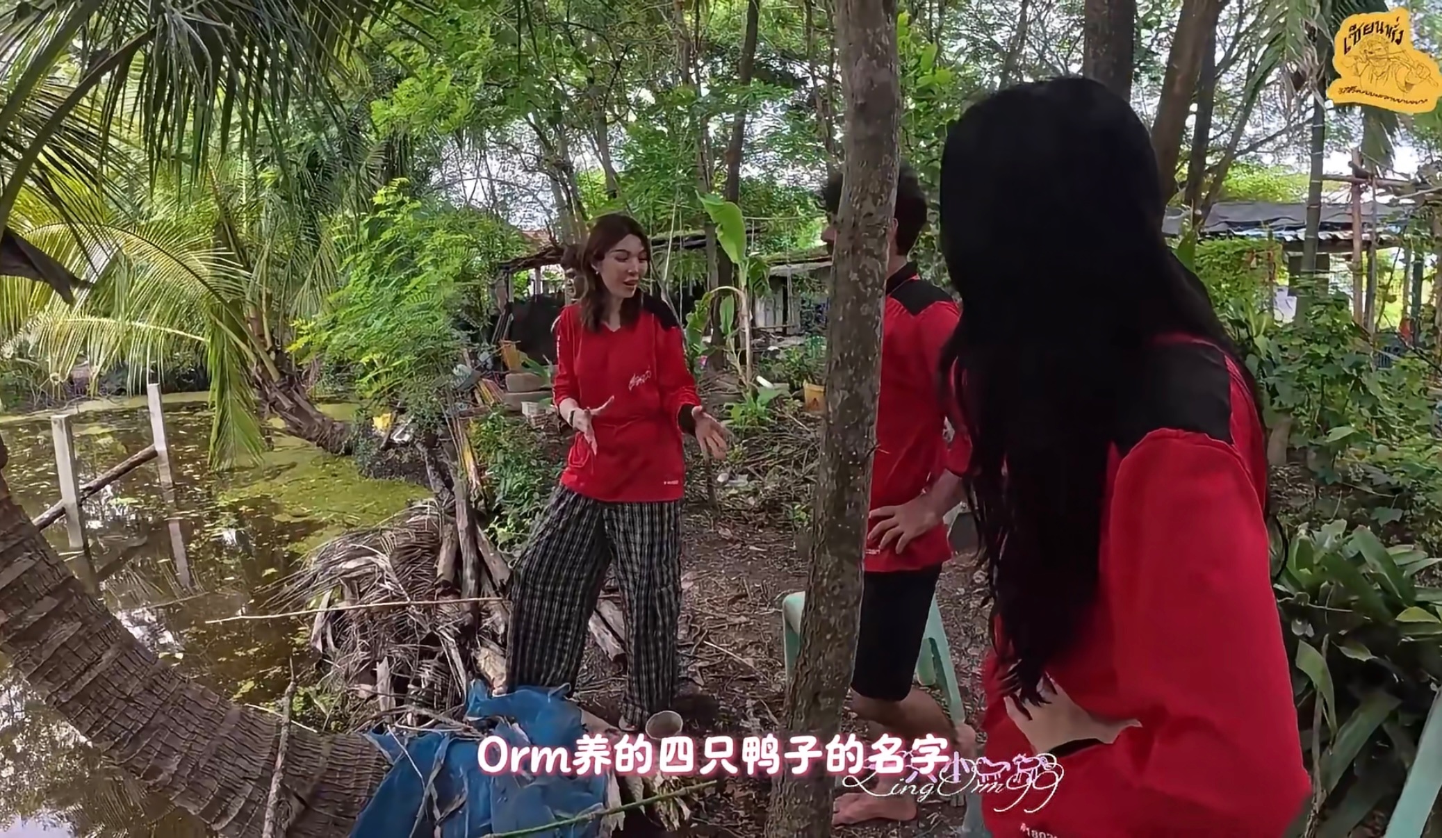 感觉陈奥是私下会拉着姐姐然后叽里咕噜跟她介绍家庭成员的那种小狗 她家里小动物不是