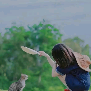 浮夸走直线
