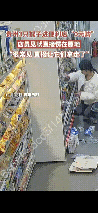 便利店“0元购”，店员小姐姐见状愣在原地，谁承想这3只猴子别的不拿，都是只拿了一