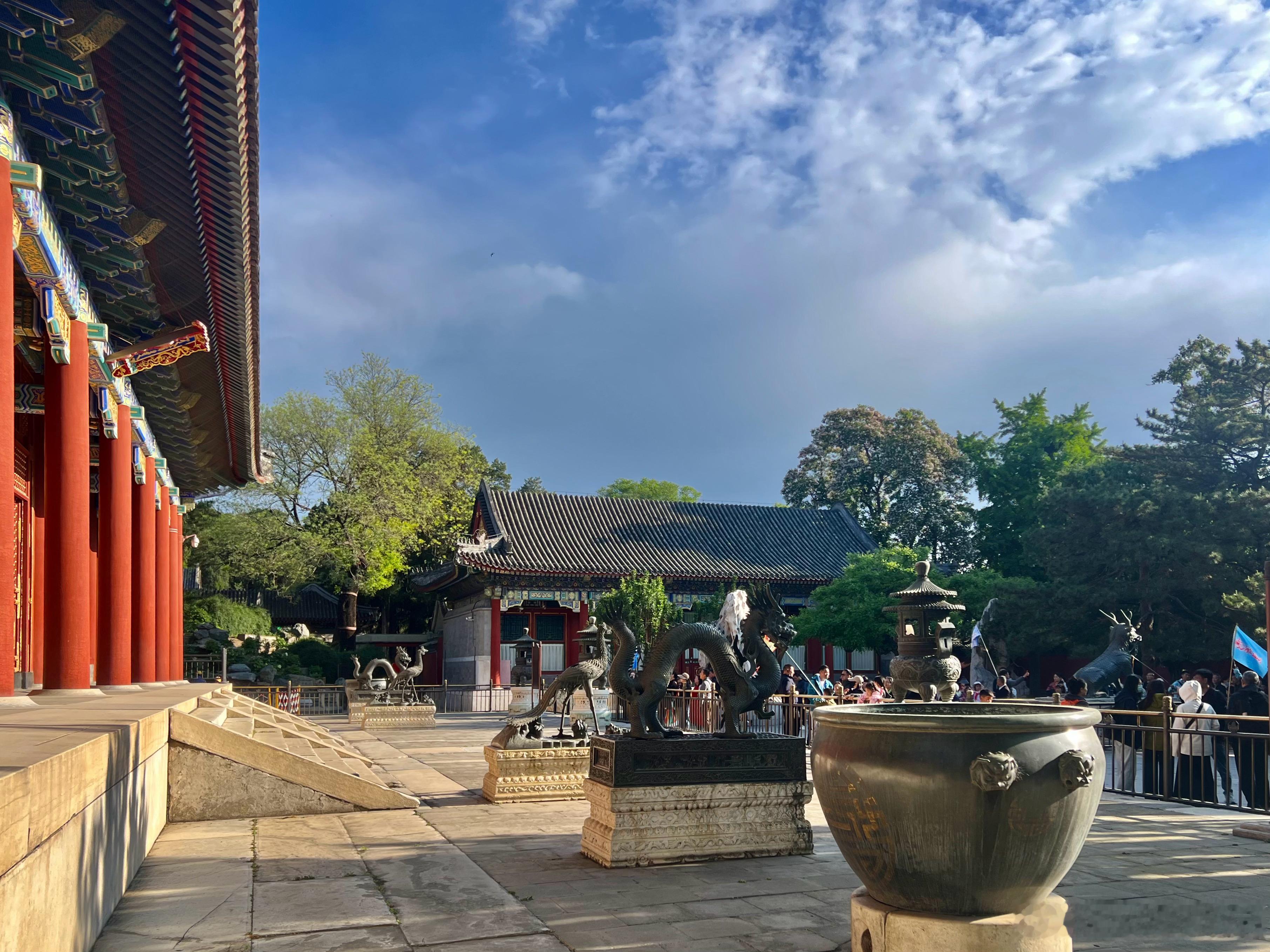 大风后的颐和园 摄影