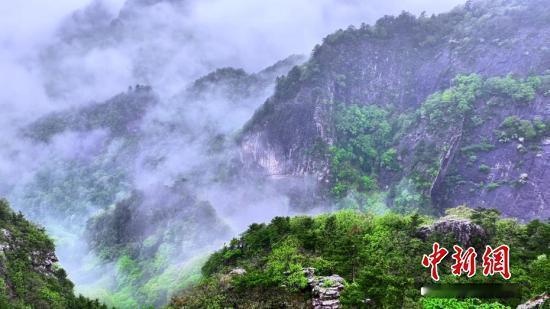 【西安：摸清野生植物资源“家底”】8月11日，西安市发布第一次野生植物资源专项调