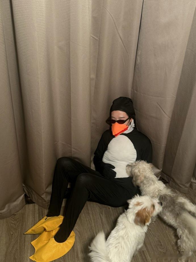 敖瑞鹏一觉醒来掉榜二了卢昱晓模仿鸟类那段视频我反复看了好几遍笑到不行，敖瑞鹏和卢