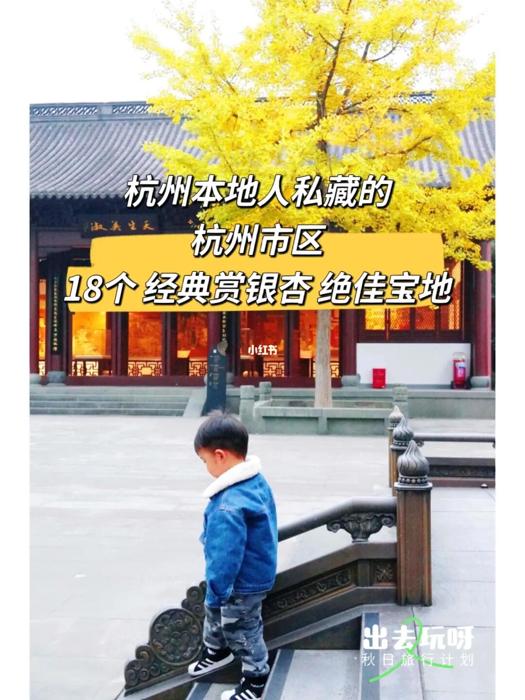 杭州市区18个赏银杏宝地，我不许你不知道