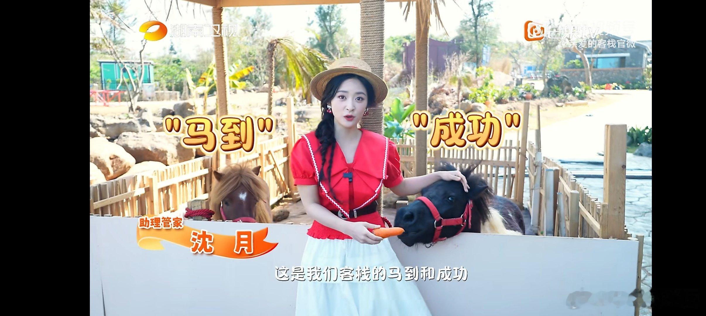 沈月携亲爱的客栈团宠正式亮相亲爱的客栈 新晋团宠“马到”和“成功”上线，和沈月一